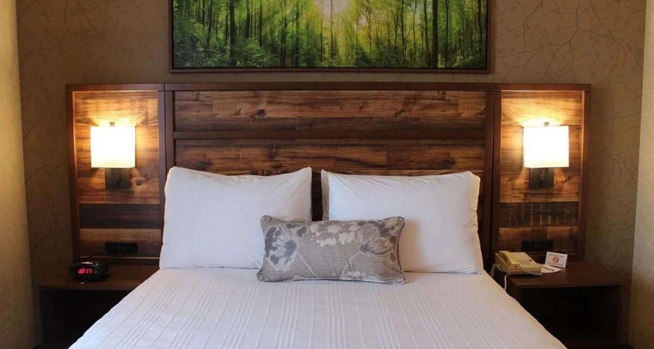 Western Inn&suites Valemount